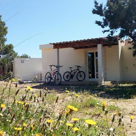 La Casita Yolanda, Ideal Parejas - Formentera Natural San Ferrán de ses Roques Exterior photo